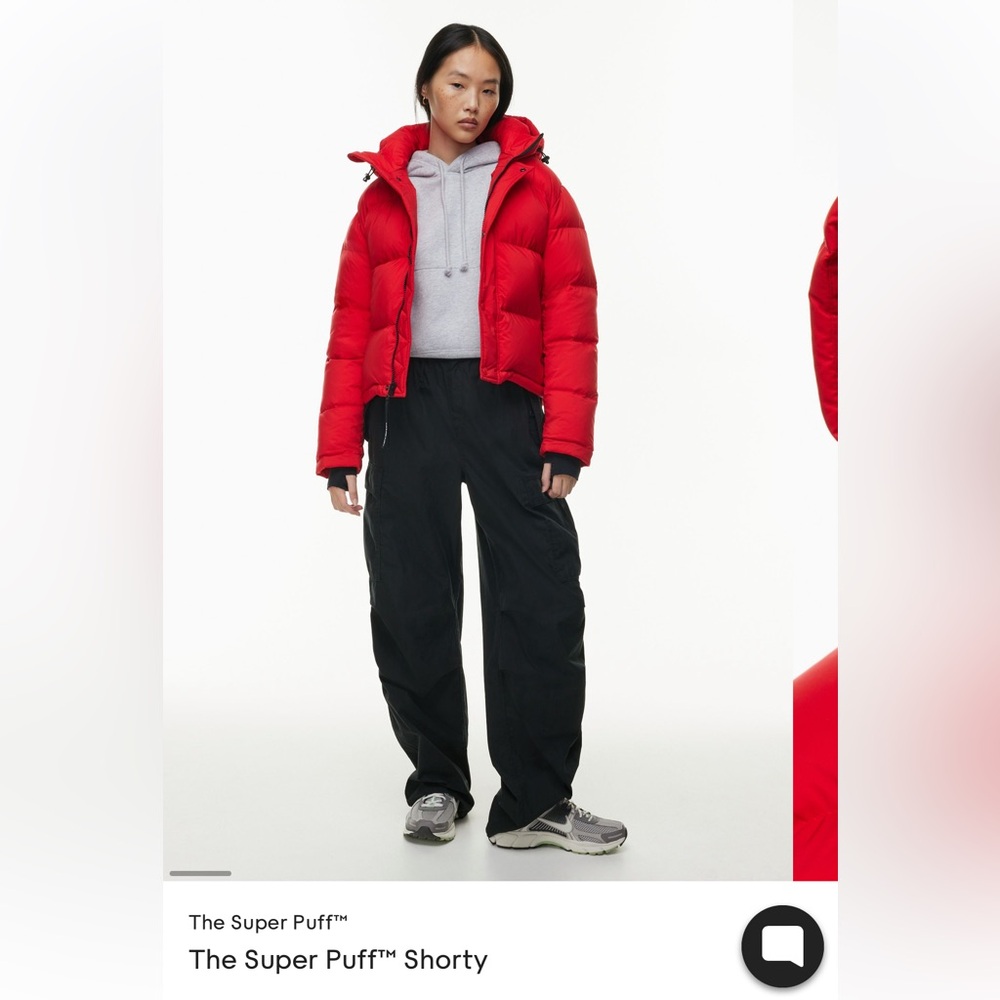 ARITZIA THE SUPER PUFF SHORTY